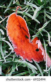Frosty red fallen leaf lying on frozen grass on a cold fall morning