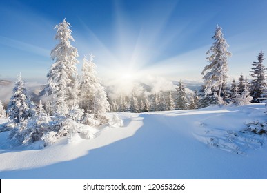 A frosty and sunny day is in mountains - Shutterstock ID 120653266
