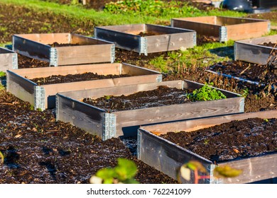 Frosty Topsoil In Pallet Collar Garden.