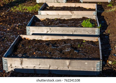 Frosty Topsoil In Pallet Collar Garden.