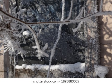   Frosty tree branches and window                             