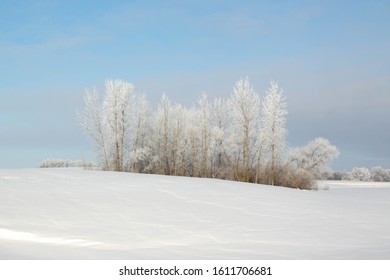 Bilder Stockfotos Und Vektorgrafiken Hintergrund Weihnachten Blau Shutterstock