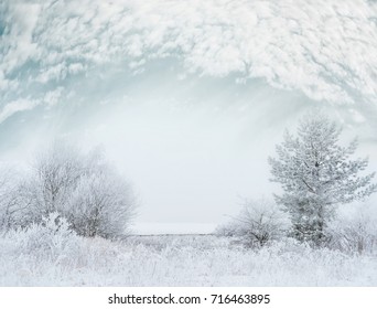 Frosty winter day landscape with Snow covered trees and beautiful sky after a blizzard - Shutterstock ID 716463895