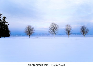 Frosty Winter On Lake Champlain