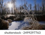 A Frosty Winter Scene; Sherwood Park, Alberta, Canada