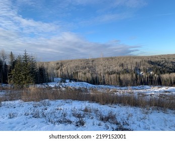 A Frosty Winters Morning Northern Alberta