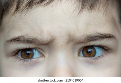 A Frowning Kid With Sad Eyes. Beautiful Big Brown Eyes With Long Lashes. Close Up Eyes Photo. Little Boy Emotions.