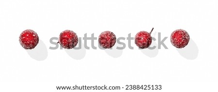 Similar – Image, Stock Photo Leaves and berries frozen in ice winter / spring