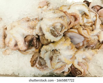 Frozen Baby Octopus In Ice On A Fish Market Stole Background