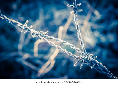 Frozen Barbed Wire. Close up of a frost covered fence in winter. - Powered by Shutterstock