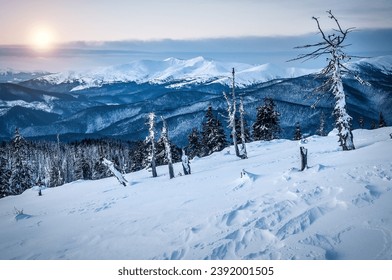 Frozen bare tree in winter snowy mountains at sunset - Powered by Shutterstock