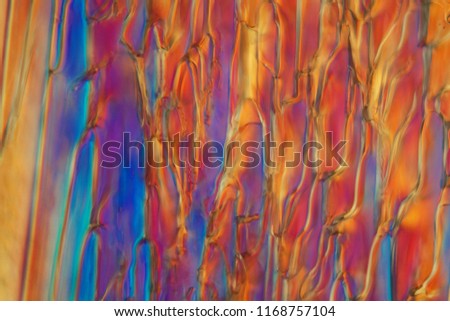 Frozen beer under a microscope and in polarized light. The photo shows ice crystals developed in beer. The form is different according to the type of beer.