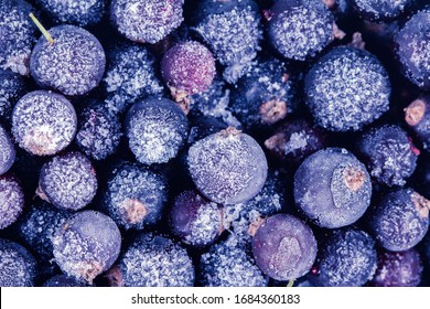 20,019 Frozen blueberries white background Images, Stock Photos ...