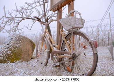 Frozen bike covered with ice. Frozen bike in the middle of wintry vineyard. Frozen rain has transformed nature into an ice landscape. - Powered by Shutterstock