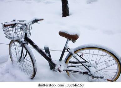 frozen basket for bike