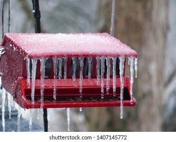 Frozen Bird Feader On A Winter Morning In Knoxville TN