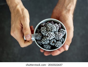 Frozen blackberries in a cup holding in two hands. White male with organic berries.