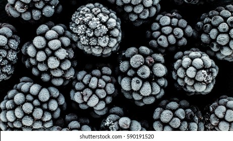 frozen blackberry, macro, top view