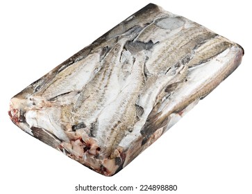 Frozen In A Block Of Ice Fish, Pollock. Isolated