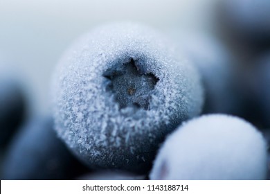 Frozen blueberries close up picture. 