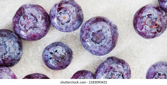 Frozen Blueberries Close-up With Water On Mottled Light Grey With Copy Space 