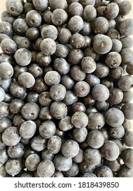 Frozen Blueberries Isolated For Background