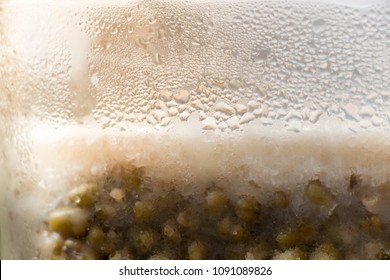 Frozen Boiled Green Beans With Water Drops In A Glass Tupperware.