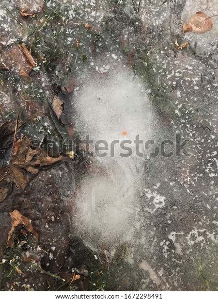 a frozen\
boot print on ice on a cloudy winter\
day