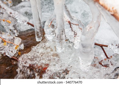 frozen branches