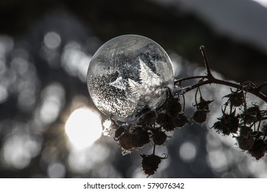 Frozen Bubble
