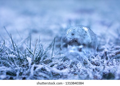 Frozen Bubble closeup