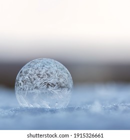 Frozen bubble with frost pattern on snow - Powered by Shutterstock