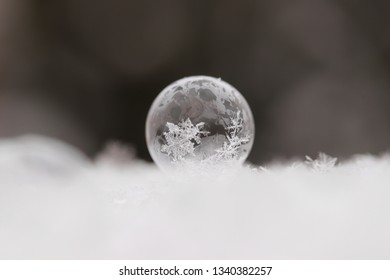 Frozen Bubble in the Snow