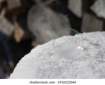 Frozen bubble in the snow