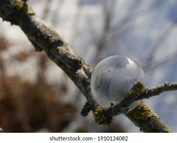 Frozen bubble in the snow