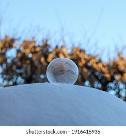 frozen bubble in the snow