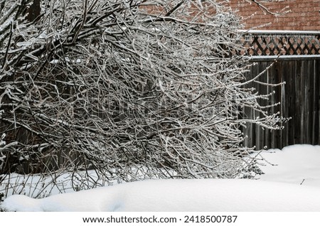 Frozen bushes and icicles on a residential fence after an ice storm with ared  brick wall in the background.