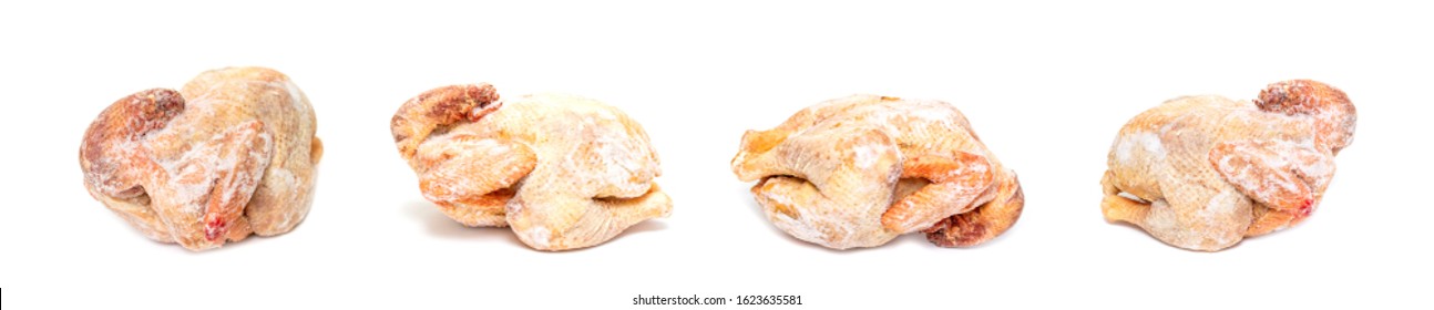 Frozen Chicken Carcass Turkey On A White Background.