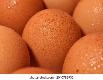 Frozen Chicken Eggs Are Preserved To Last Longer.