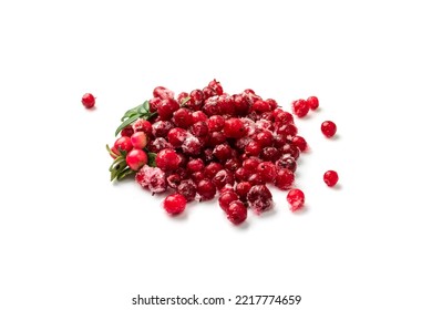 Frozen Cowberry Isolated. Iced Lingonberry Pile, Frosty Red Berries, Frozen Whortleberry Heap, Mountain Cranberry, Partridgeberry, Frosted Bearberries On White Background