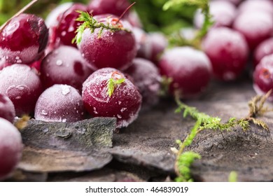 Frozen Cranberries