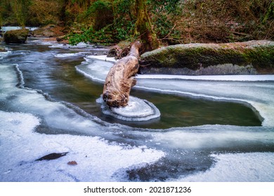 Frozen Creek Of Clare Glens In Co. Tipperary At Winter, Ireland