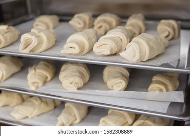 Frozen Croissants And Dough Buns On Baking Sheets In Proofing Chamber, Commercial Bakery