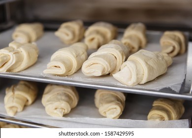 Frozen Croissants In Proofing Chamber Shot In Bakery