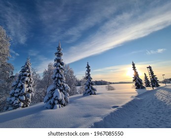 Frozen Day In Northern Savonia