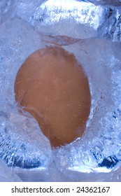 A Frozen Egg