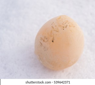 Frozen Egg On The Snow In The Garden