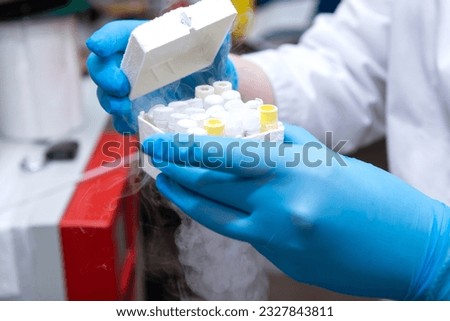 frozen eggs in vitro. Reproductive medicine, artificial insemination.