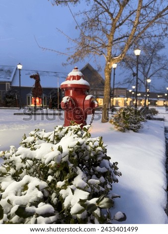 Frozen elegance: A snow-kissed fire hydrant stands resilient, a silent guardian in a winter wonderland.