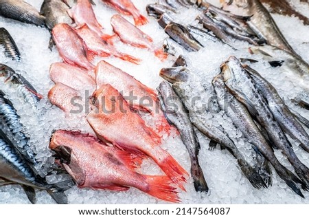 Frozen fish in ice ready for sale in the superstore. Seafood store 
